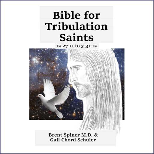 bible-for-trib-saints-12-27-11-to-3-31-12-acx-border