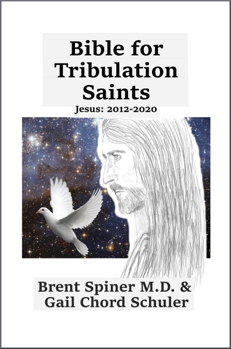 bible-for-trib-saints-2012-2020-create-space